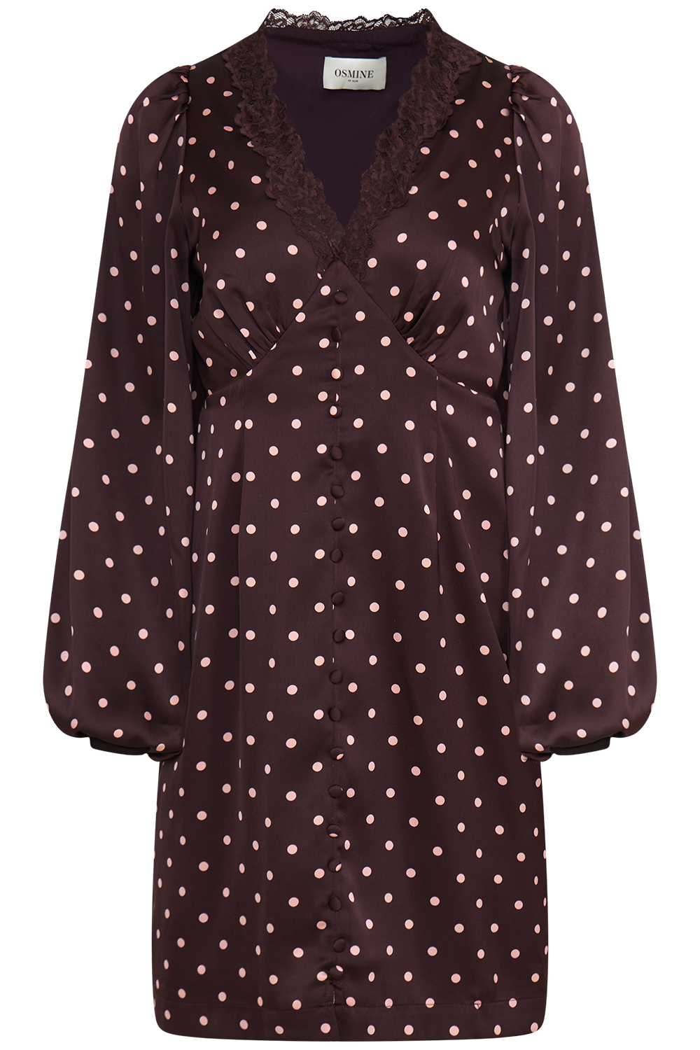 Agni Satin Lace Dot Dress - Aubergine