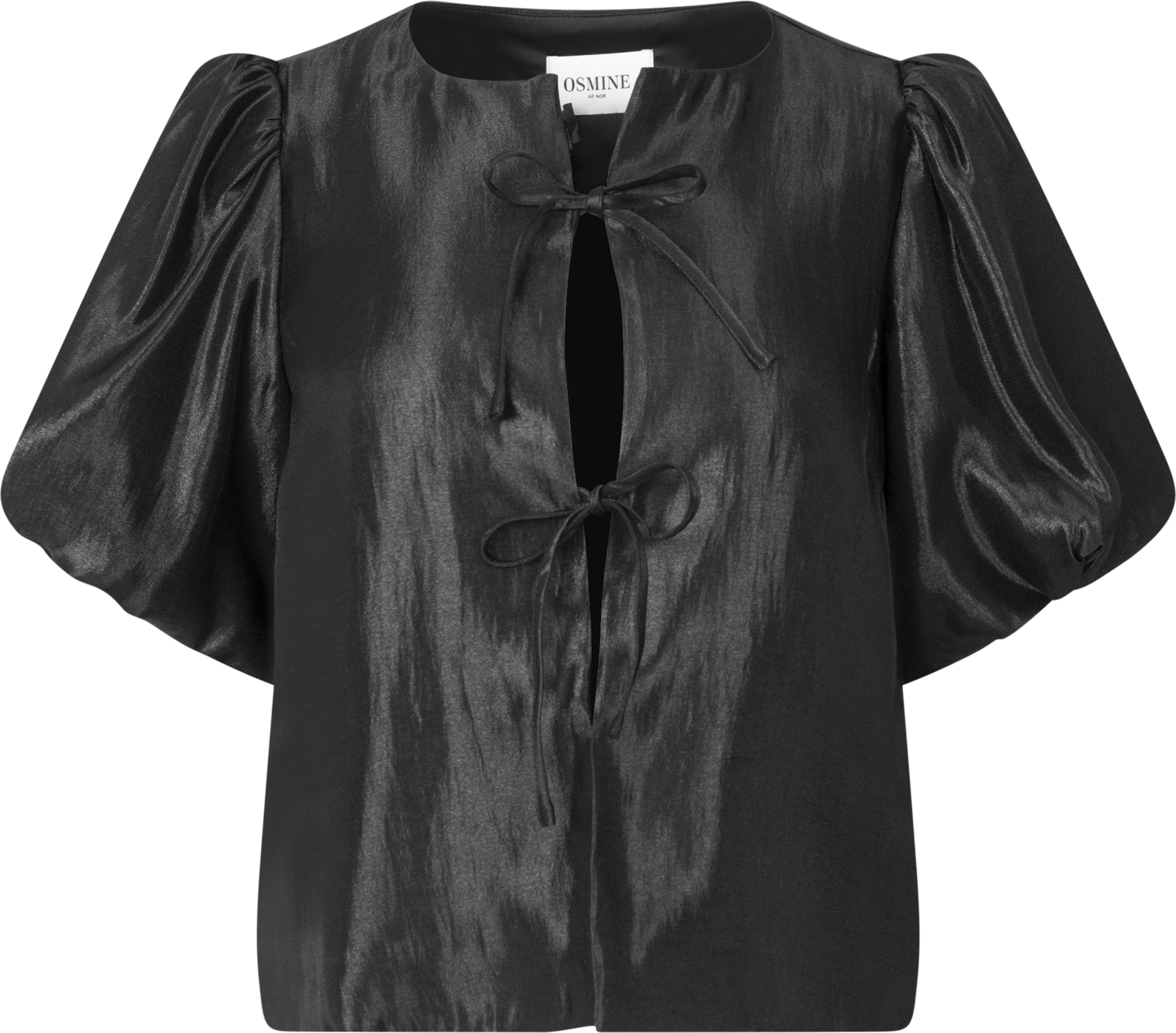 Rosie Organza Blouse - Black