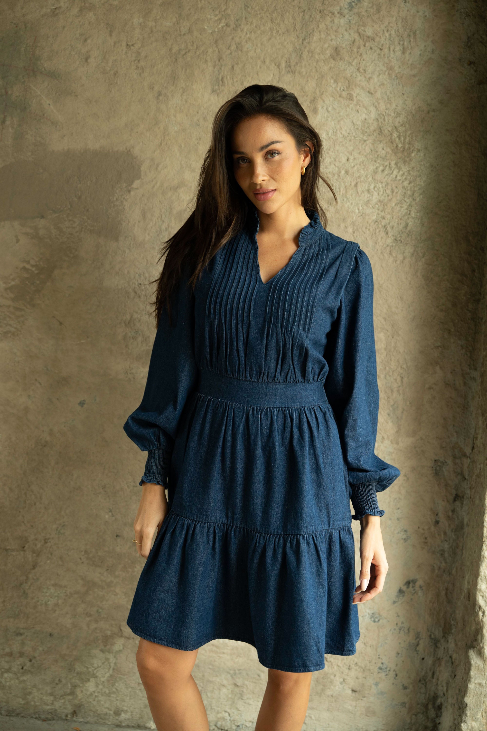 Evina Denim Solid Dress - Blue