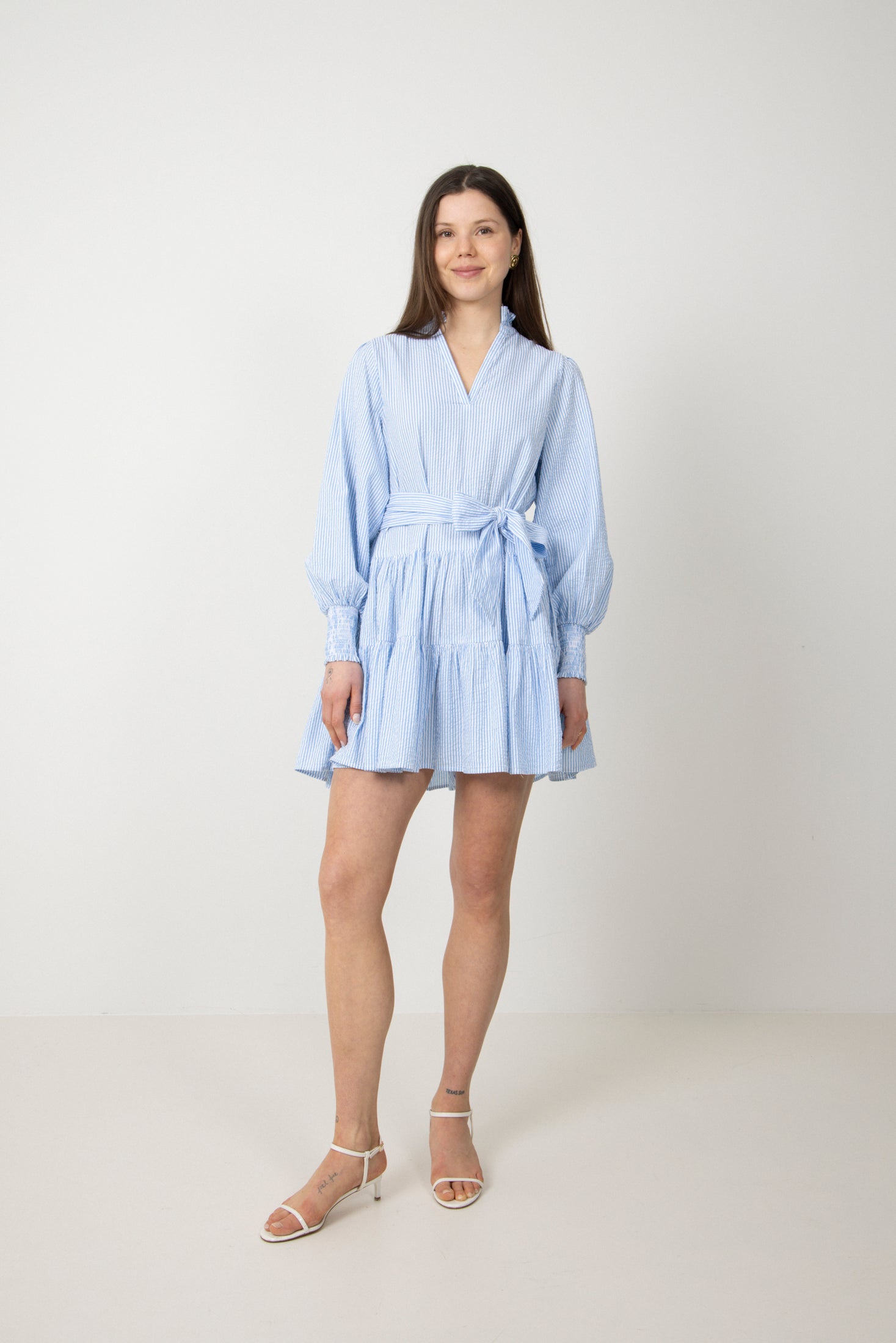 Delphine Stripe Dress - Blue Stripe