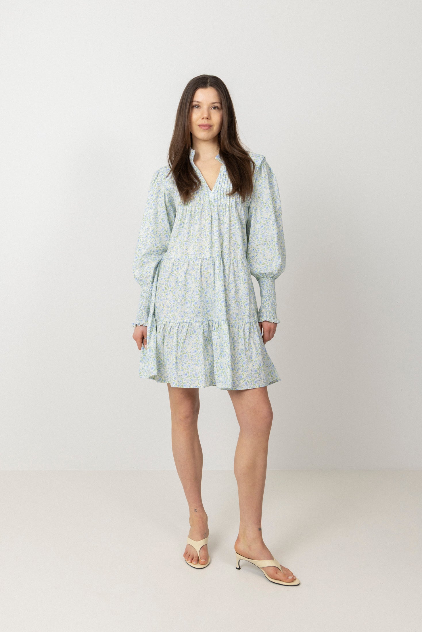 Embla Poplin Print Dress - Blue Garden