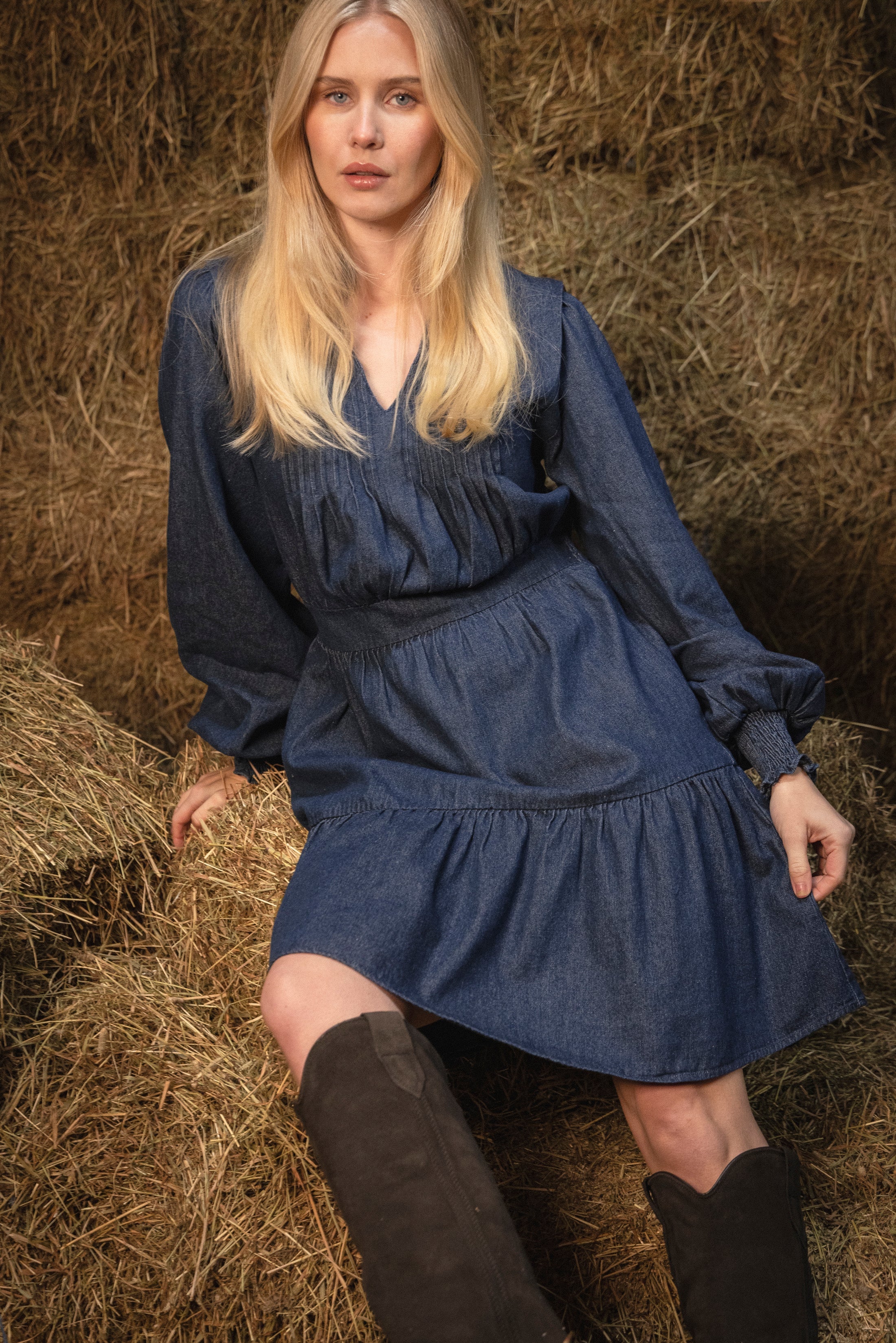 Evina Denim Solid Dress - Blue