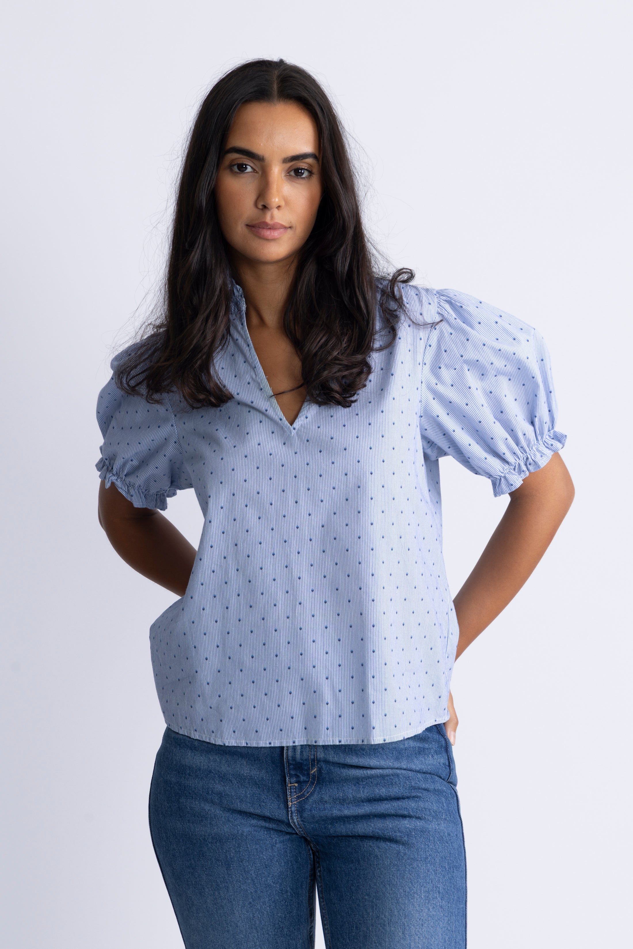 Signy Stripe Emb Blouse - Blue Stripe