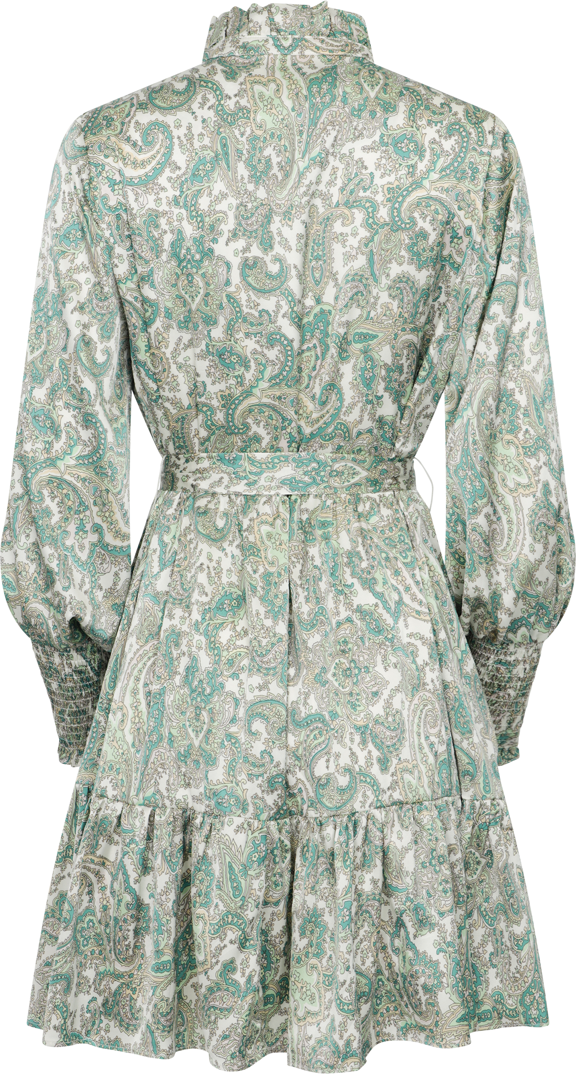 Saga Wide Small Paisley Dress - Green Small Paisley