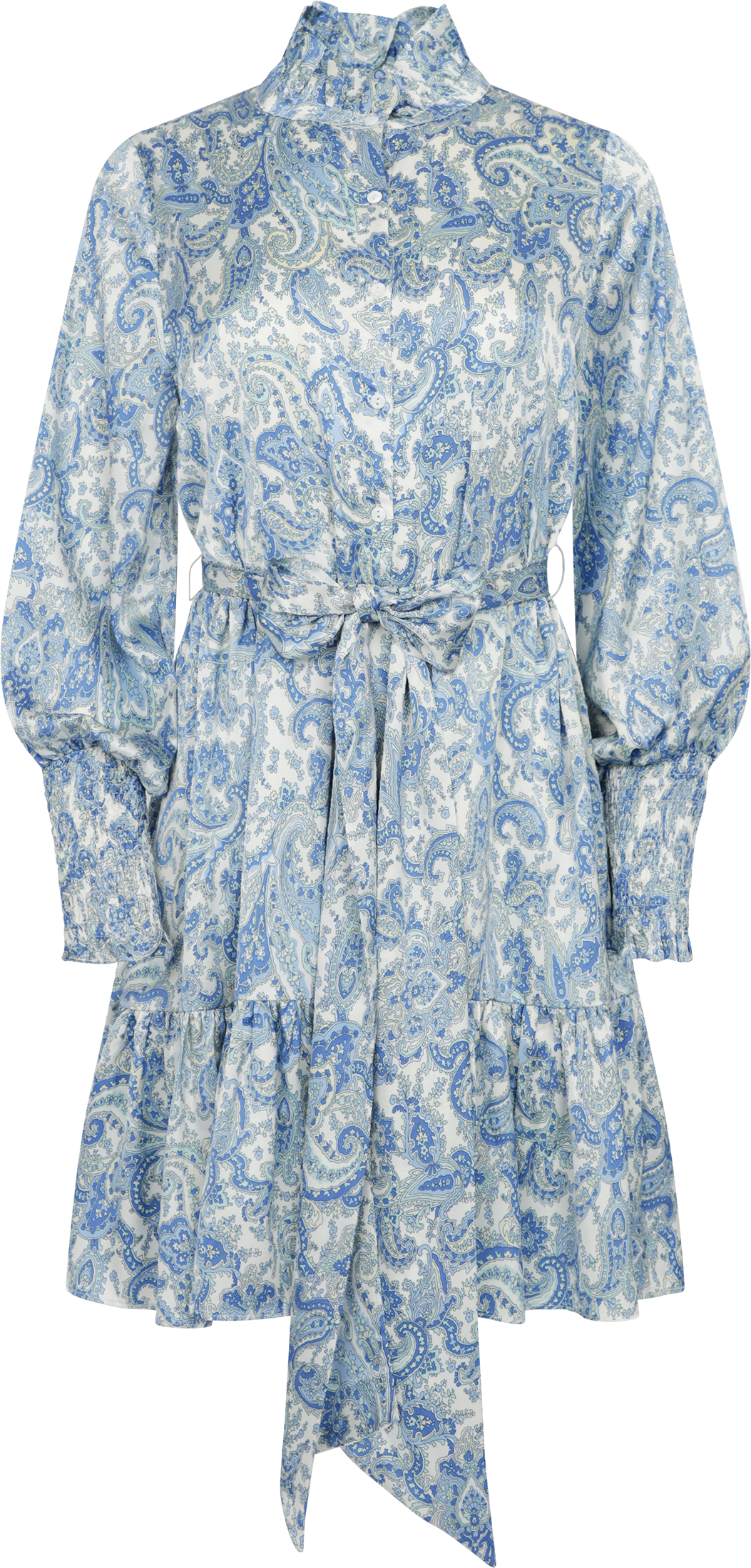 Saga Wide Small Paisley Dress - Blue Small Paisley