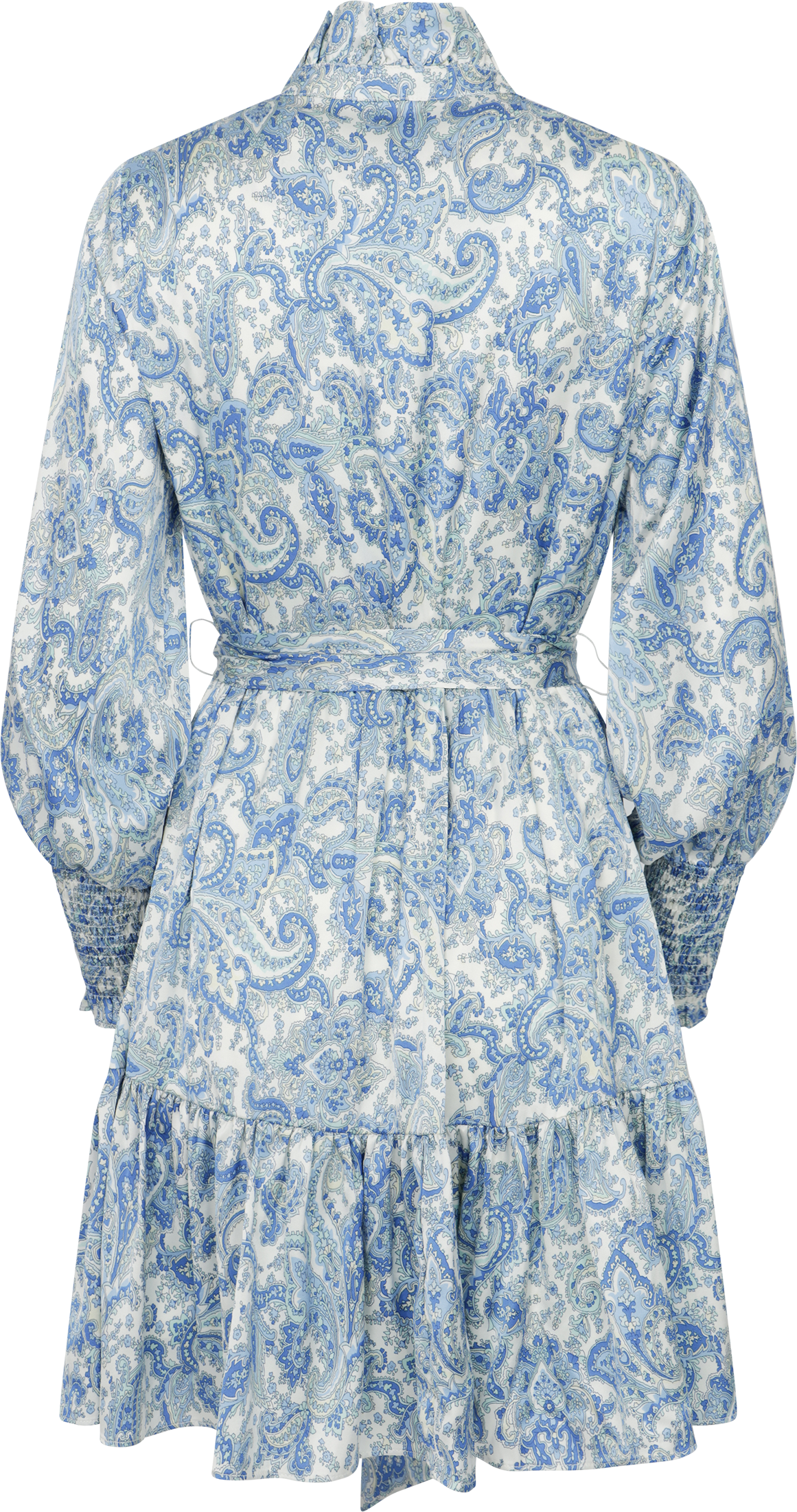 Saga Wide Small Paisley Dress - Blue Small Paisley