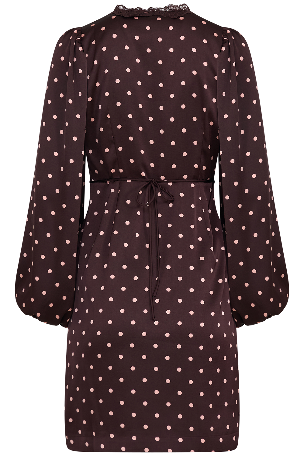 Agni Satin Lace Dot Dress - Aubergine