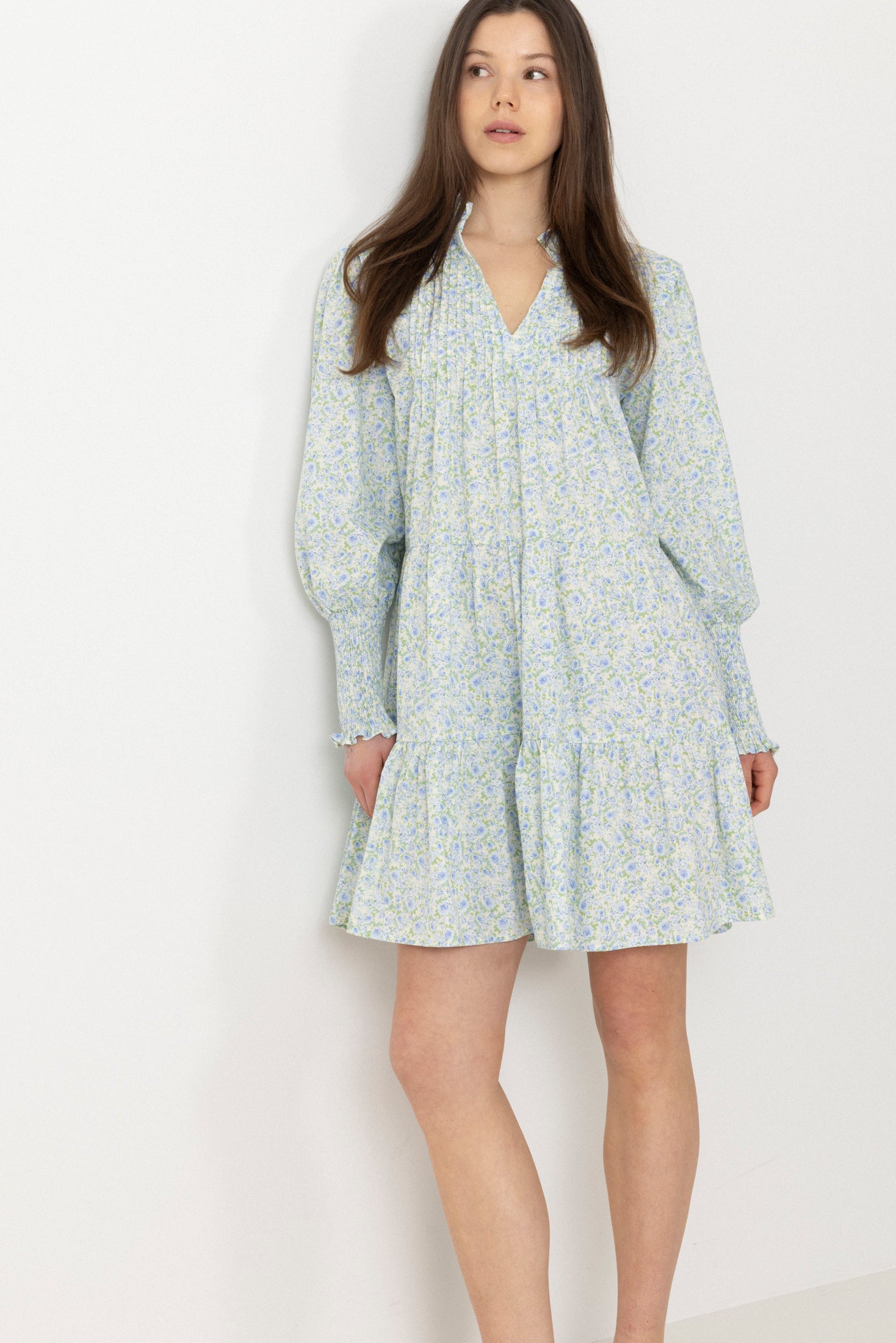 Embla Poplin Print Dress - Blue Garden