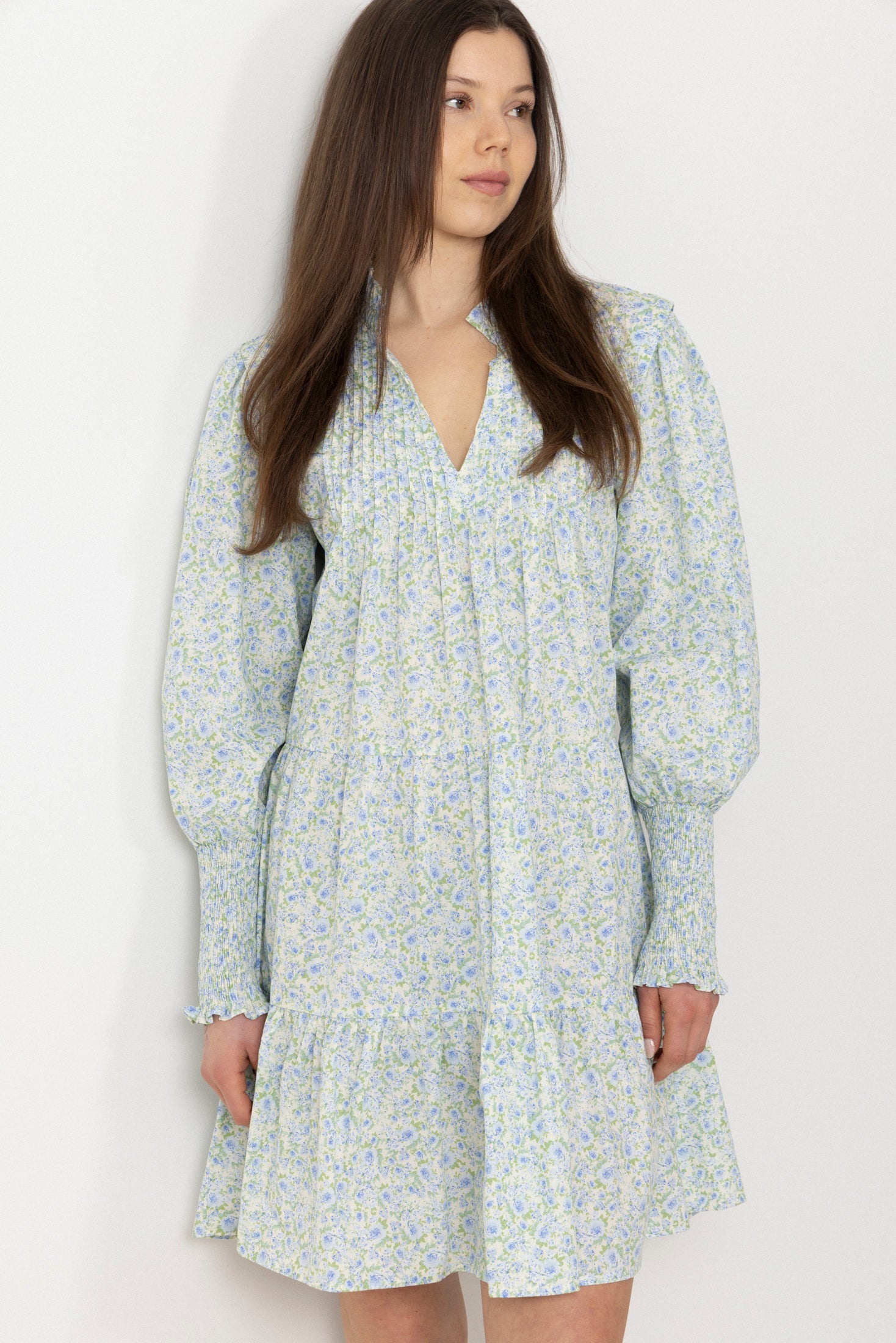 Embla Poplin Print Dress - Blue Garden