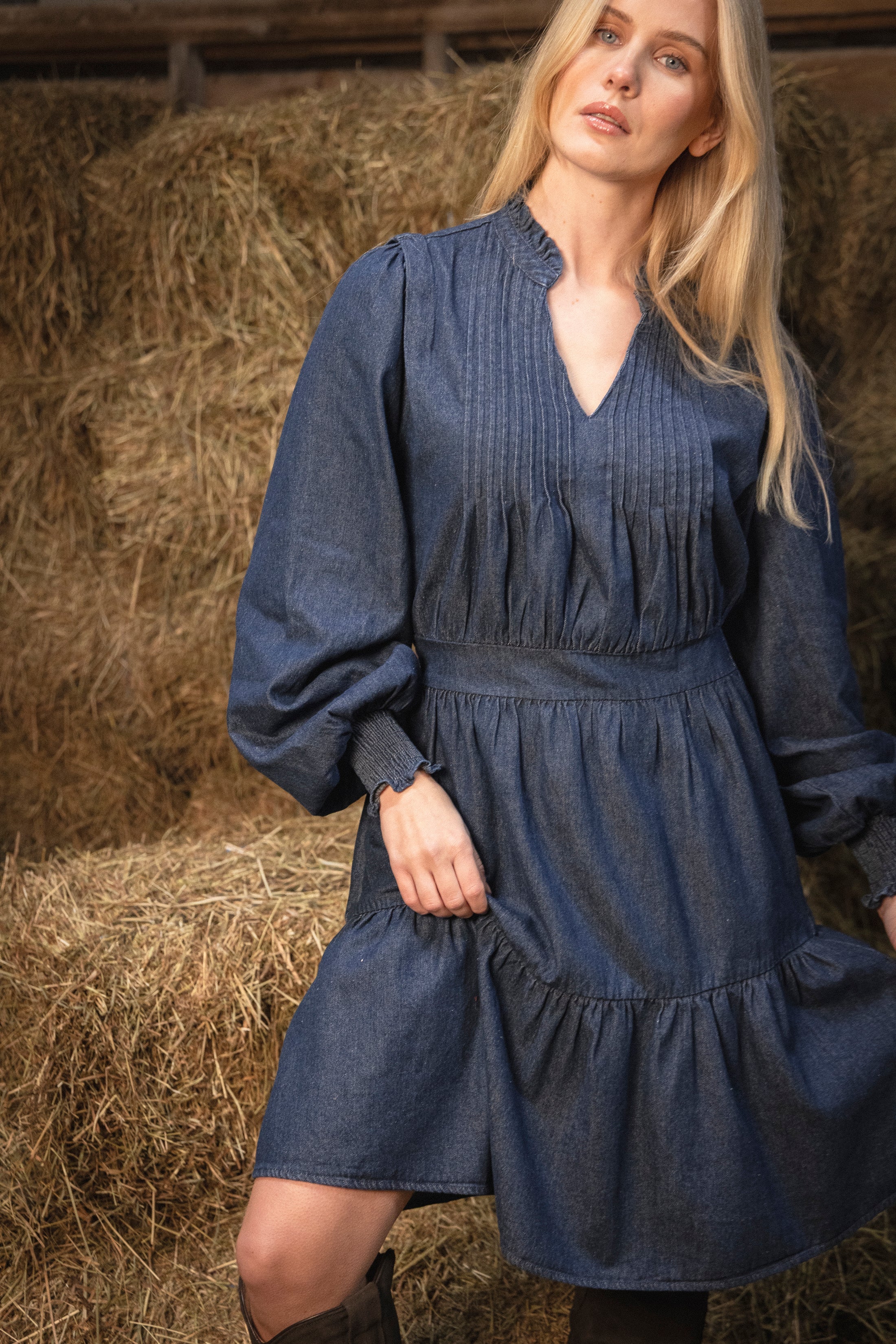 Evina Denim Solid Dress - Blue