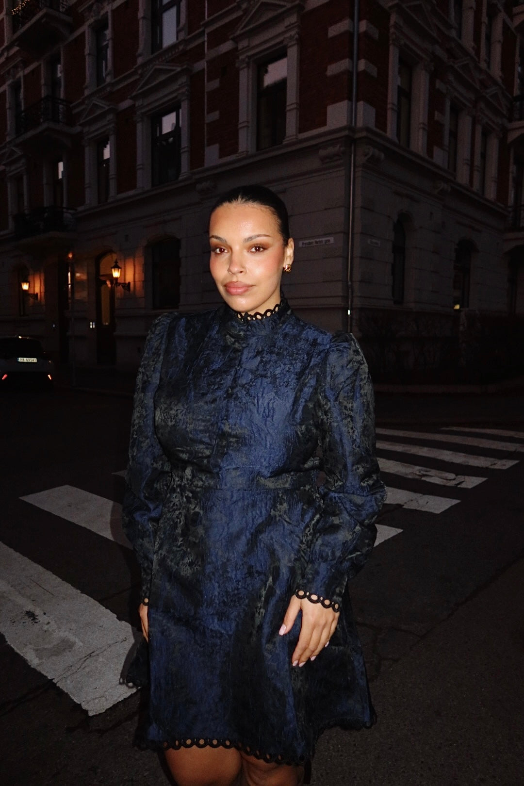 Bergine Brocade Pattern Dress - Dark Navy